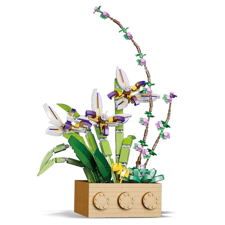 Gladiolus lego