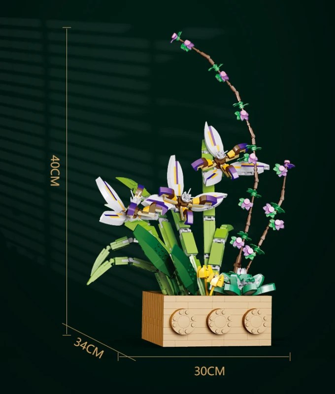 Gladiolus lego