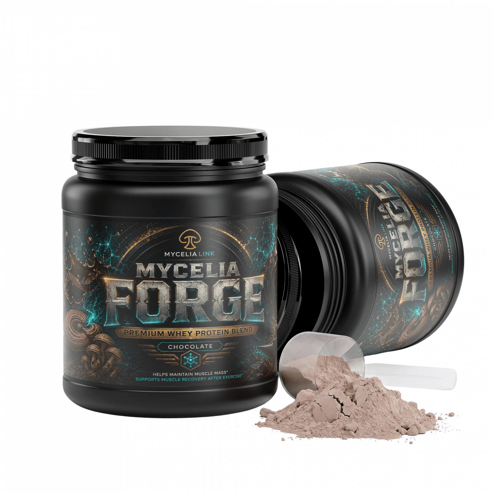 Performance Whey Protein — Special Offer