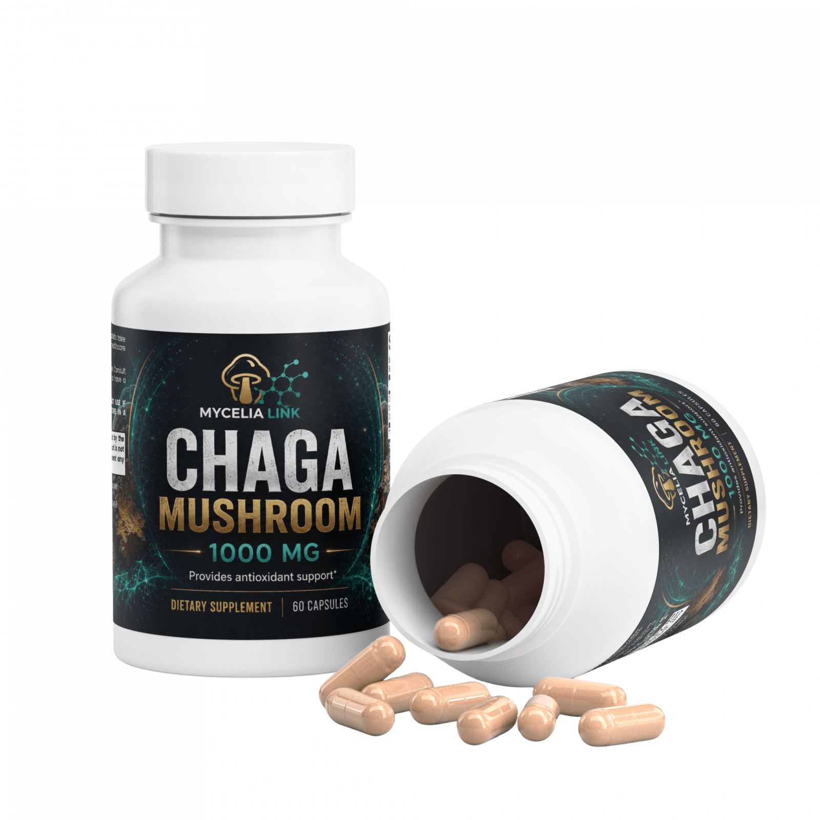 Chaga Mushroom — Special Offer