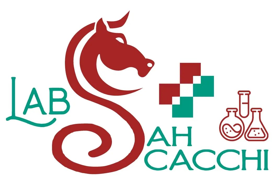 Laboratorio Scacchi – Lab Šah