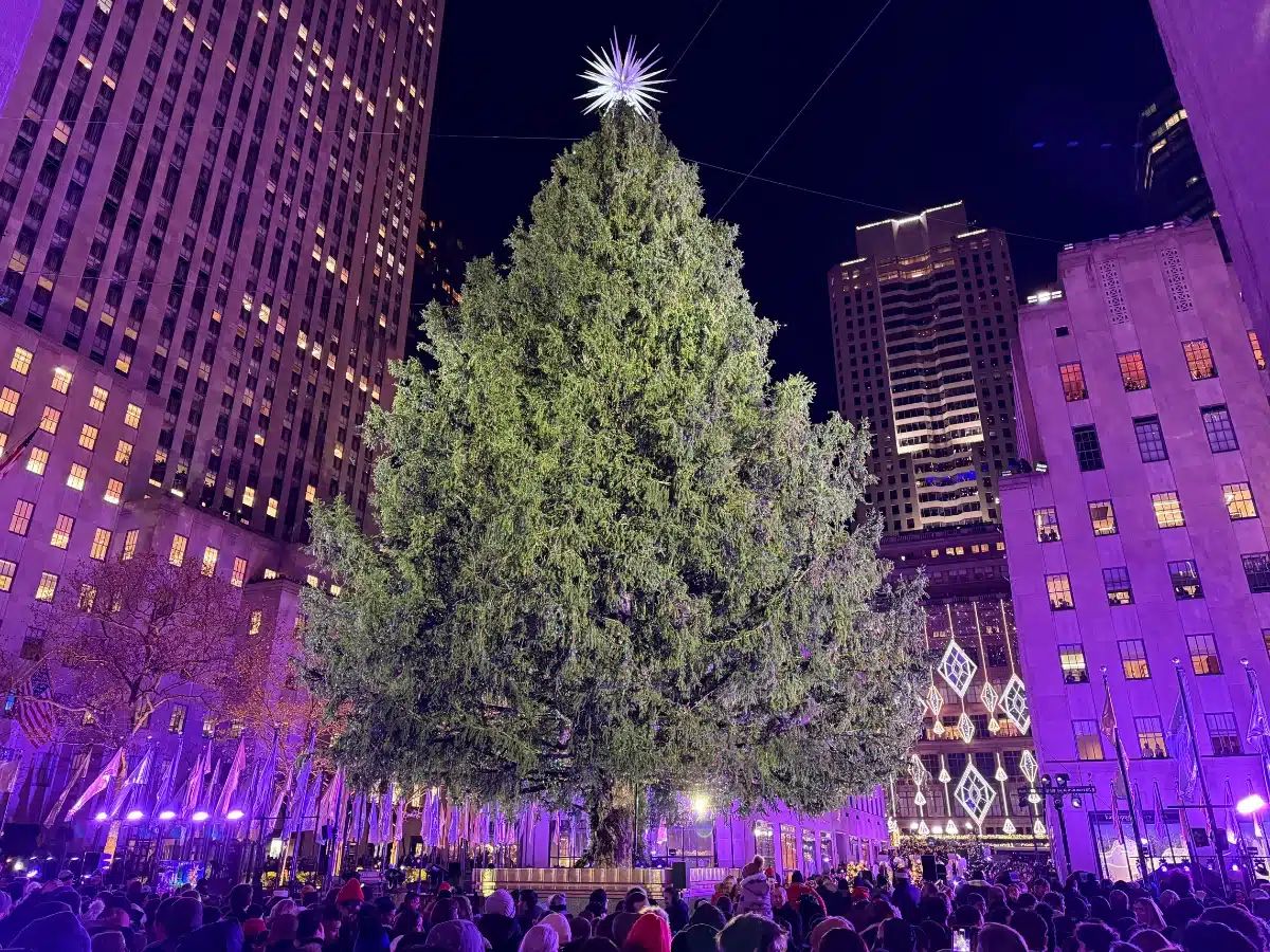 Rockefeller Center Christmas Tree before the annual Tree Lighting ceremony in New York City