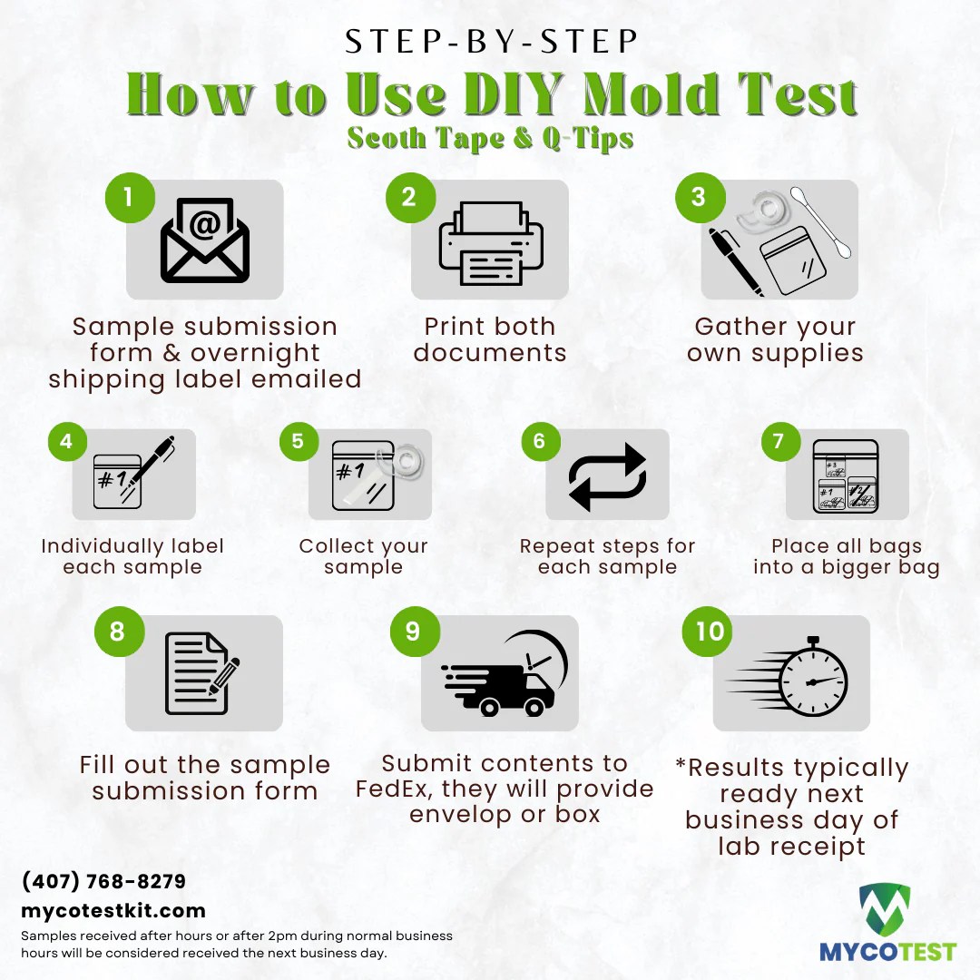 Diy Mold Test Easy Scotch Tape Q Tip Sampling Mycotest