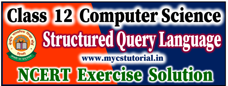 Chapter 6 Database Sql Ncert Solution For Class 12th Computer - Perfect Space Illustration - Full HD