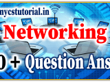 Class 10 Computer Applications 165 Networking Ch 2 Internet Services