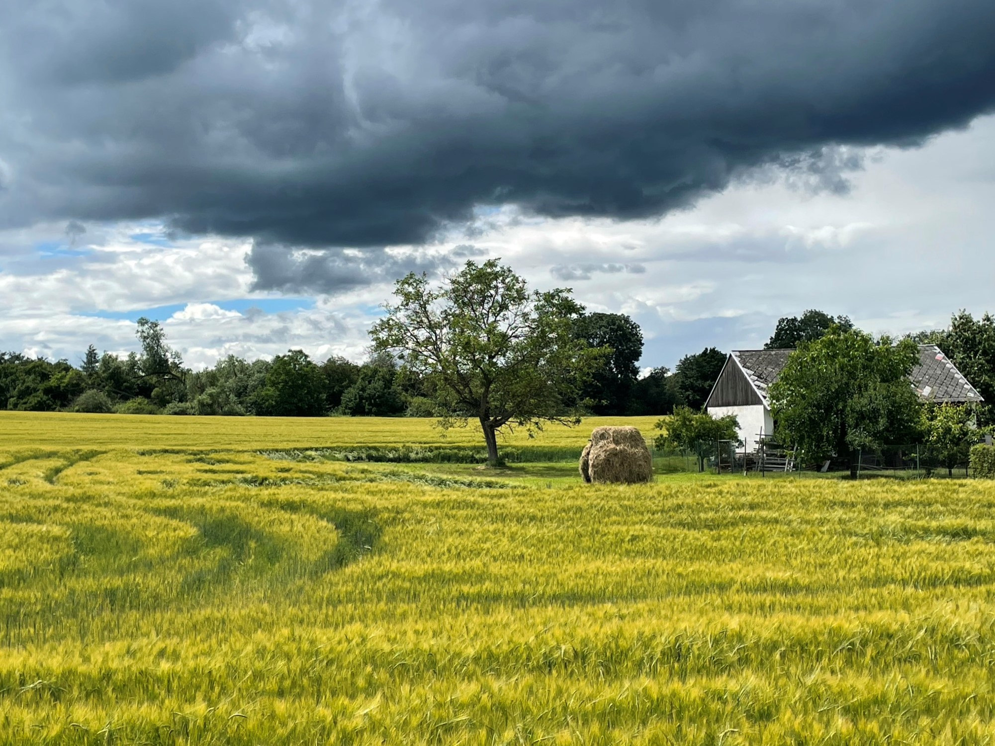 A 5km varied walk around Úvaly (with lots of gastronomic options) – my ...