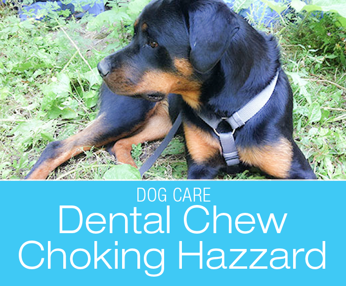 oral hygiene chews for dogs