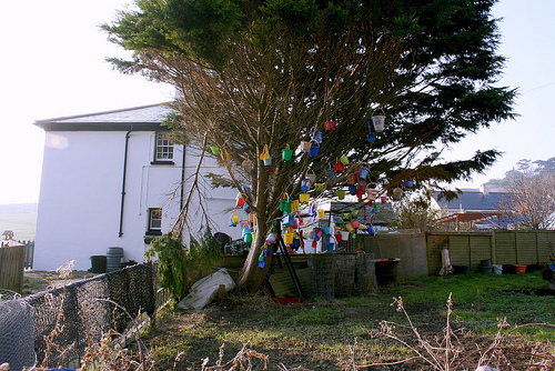 The Bucket Tree | My Dorset