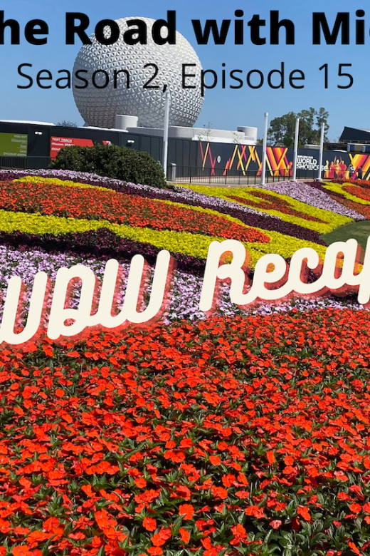 Walt Disney World Recap