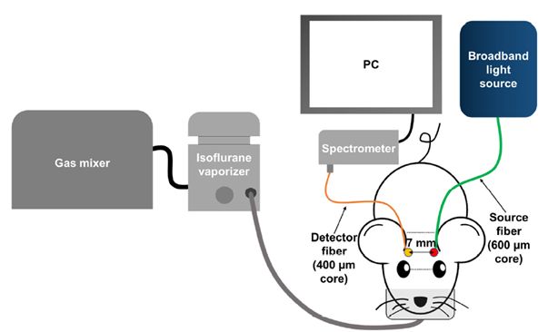 Github Csienslab Bft Simulator A Simulator For Testing Verifying - Download Perfect Dark Illustration | 8K