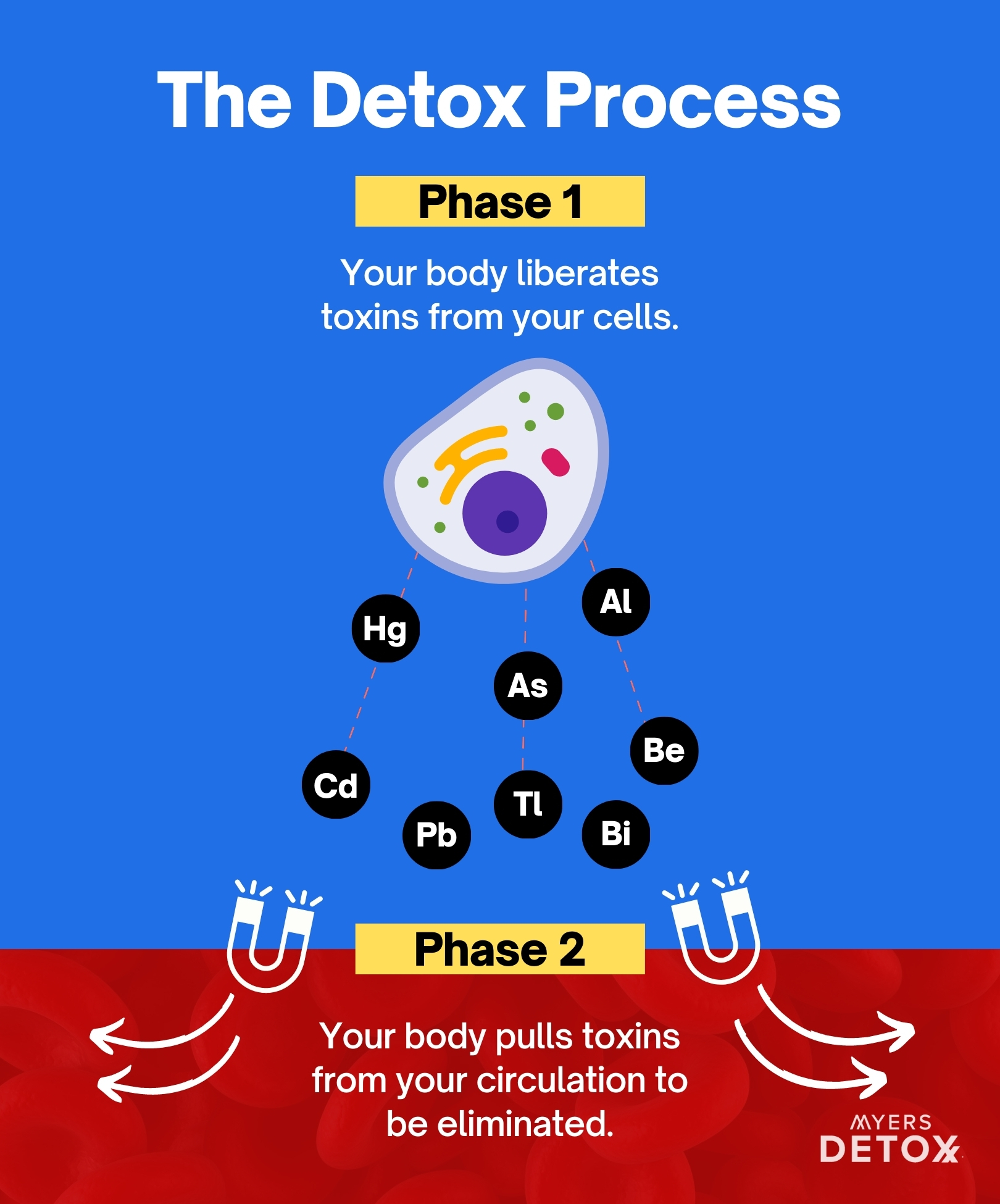 The detox process