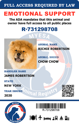 emotional distress dog registration