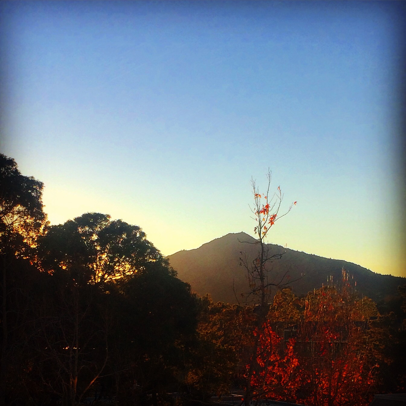 Mt. Tamalpais view from Larkspur, CA