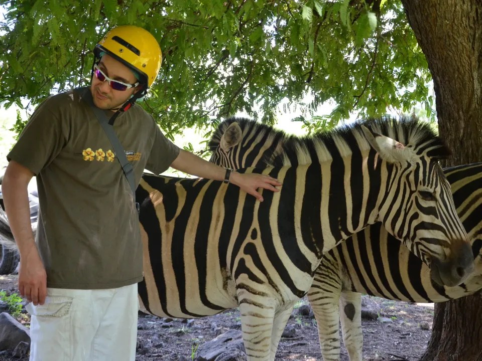 aiman with zebra