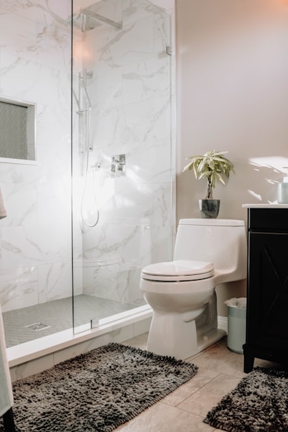 DIY vs. Professional Bathroom Renovation