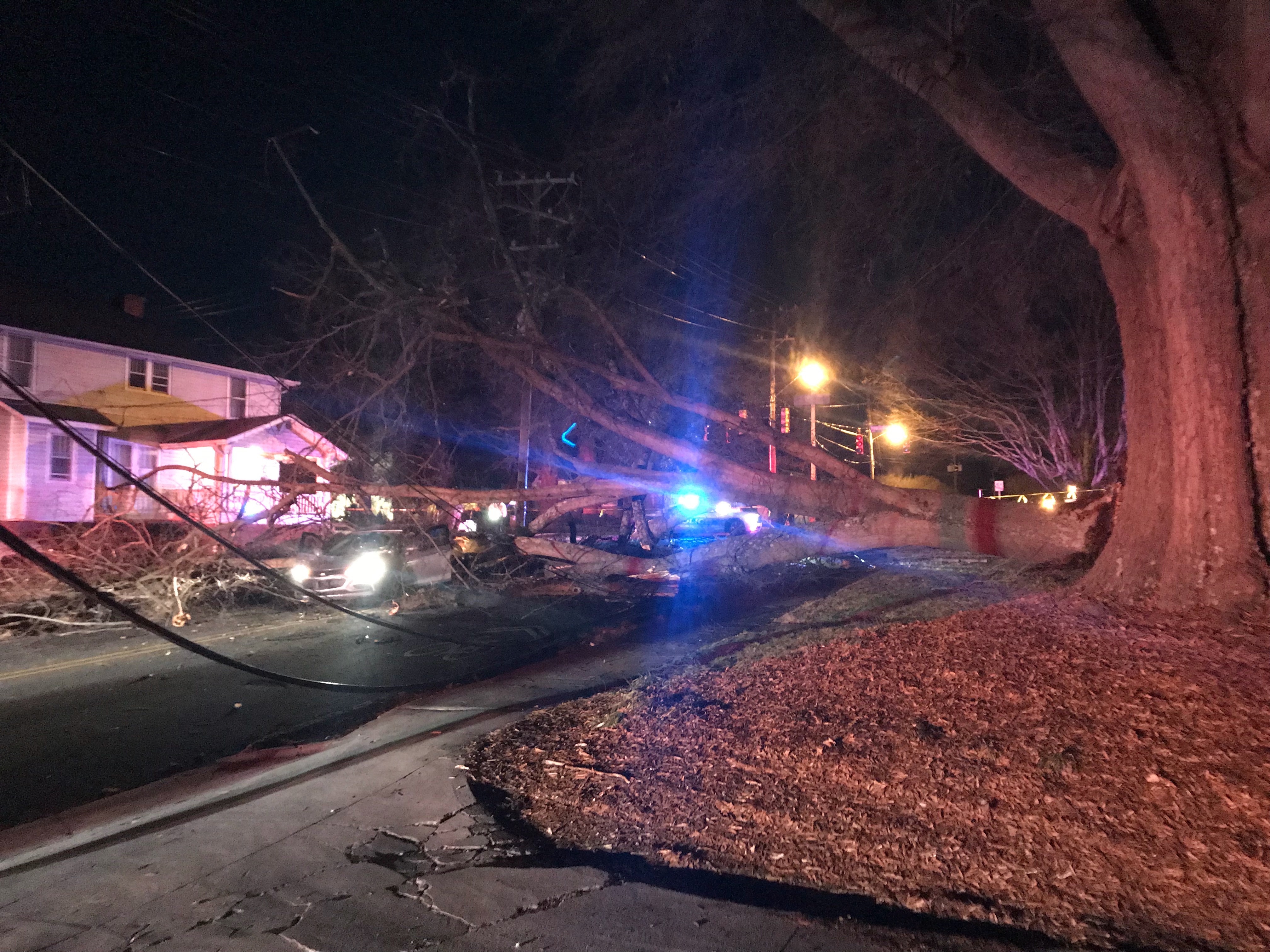 1525 peters creek pkwy, winston salem, nc 27103. No One Injured After Tree Just Decided To Give Up Falls On Passing Car In Winston Salem Fox8 Wghp