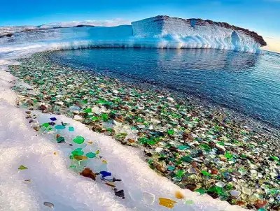 Reduce our carbon