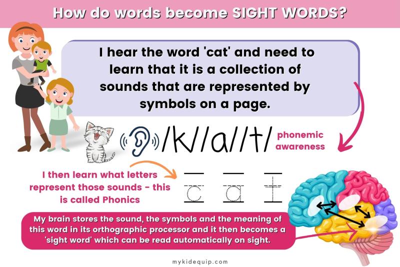 orthographic mapping process visual showing the brain and how it maps words