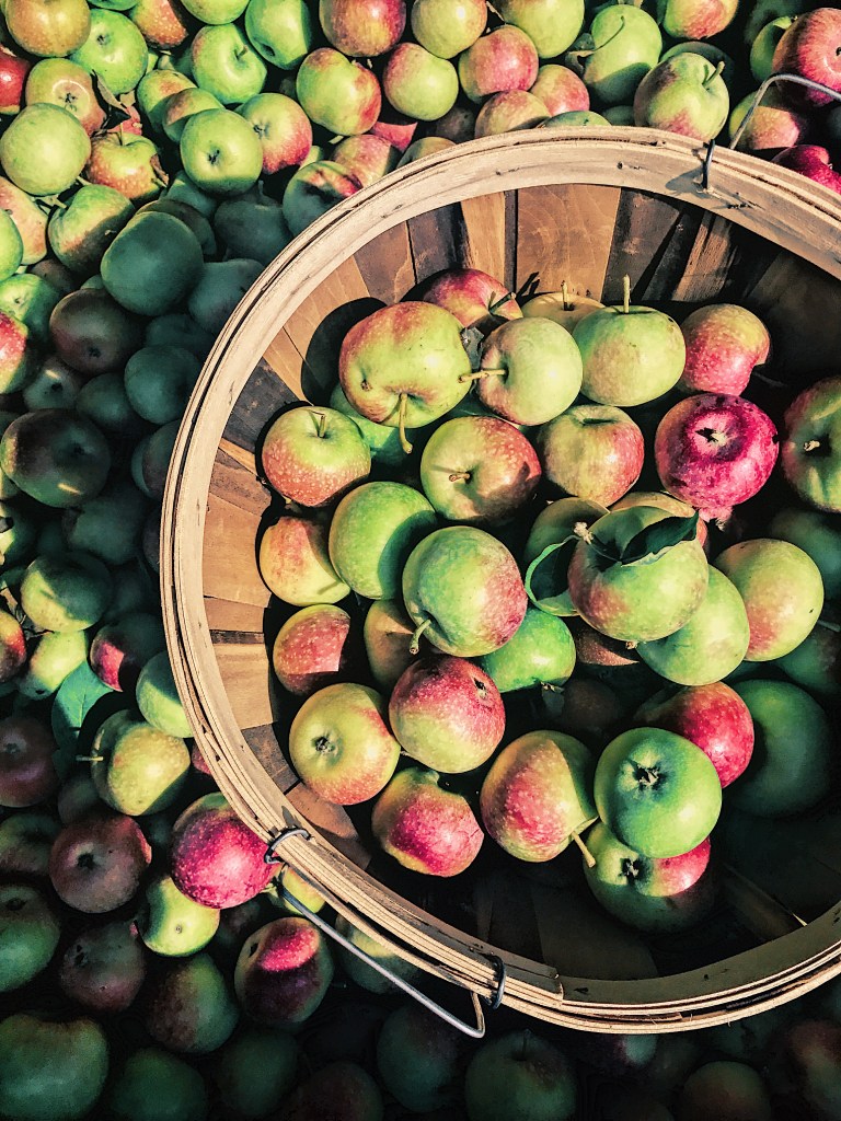 Overhiser Orchard