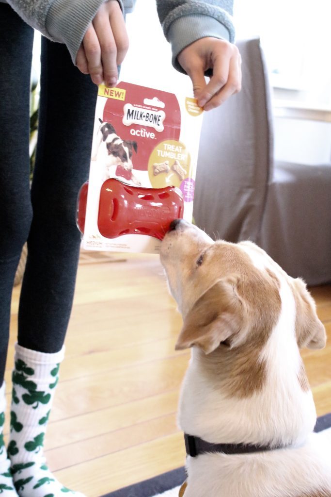 Irving’s New Favorite Toy, MilkBone Active Treat Tumbler White