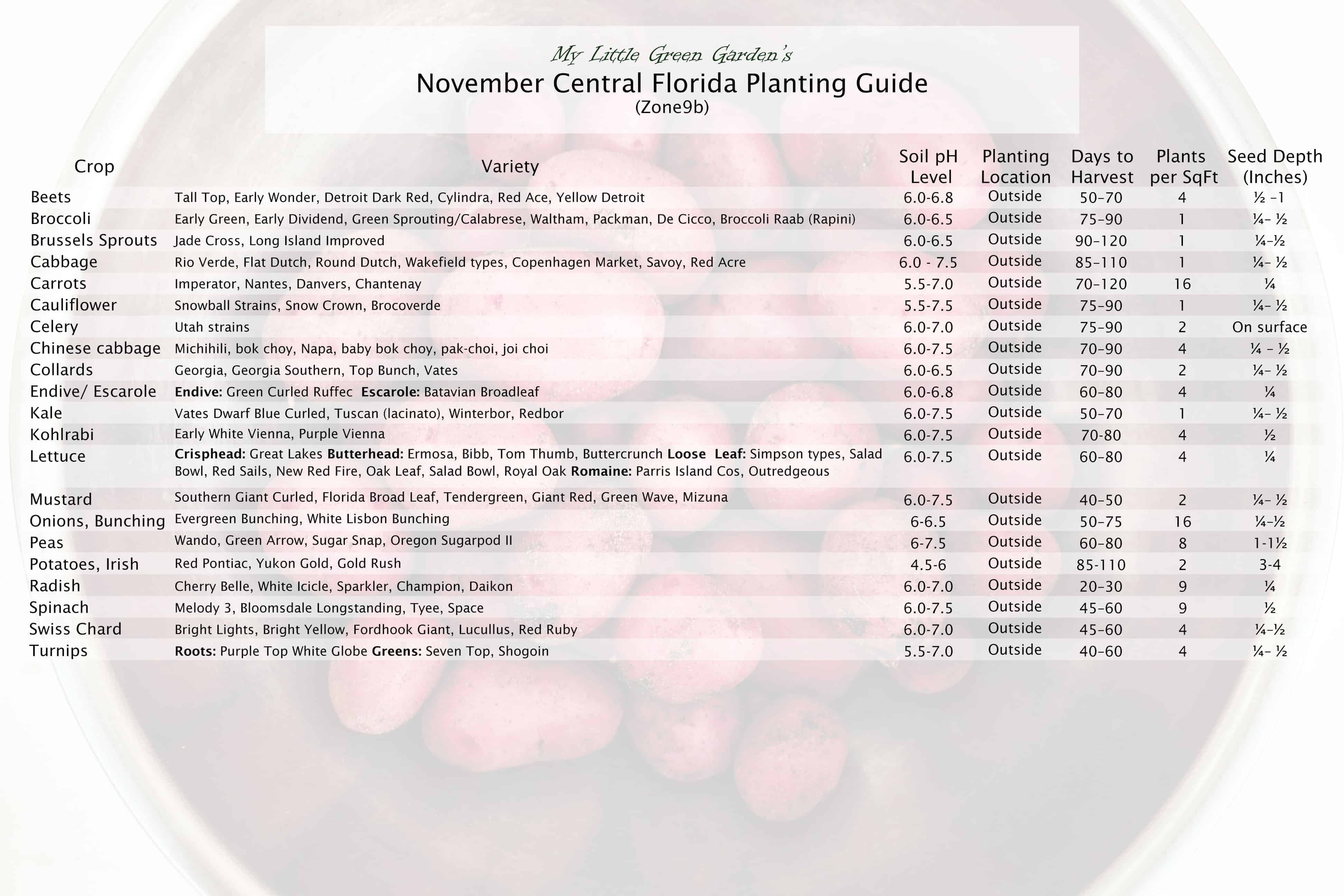 Below are some ideas that can hel. What To Plant In November In Central Florida My Little Green Garden