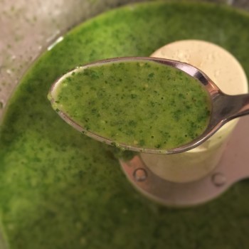 Food Processor Version