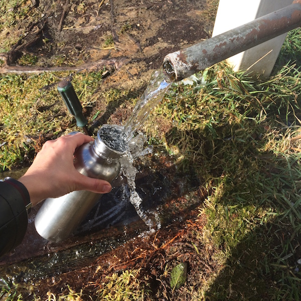 Collecting local spring water