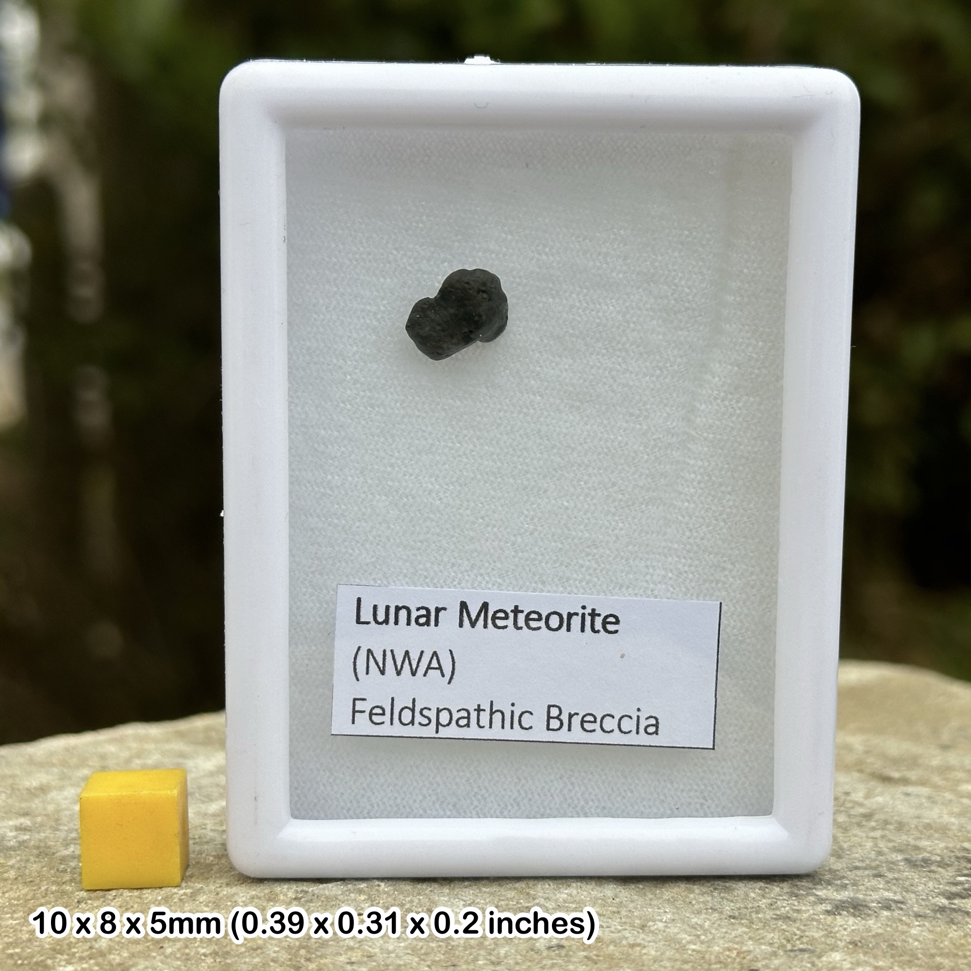 ナオ NWA 13788 Lunar Meteorite 13788-18