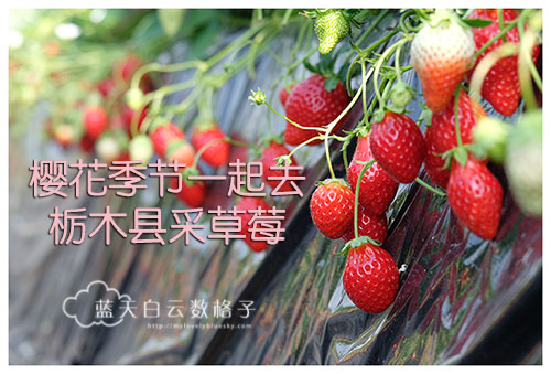 栃木縣觀光栃木縣 Qaxnl 栃木縣觀光栃木縣 Qaxnl