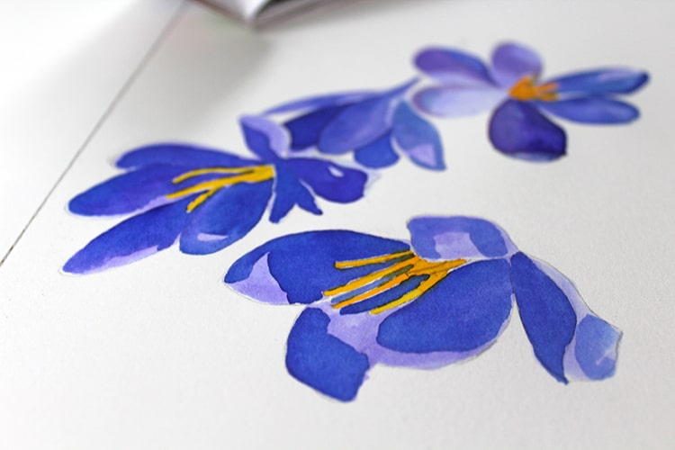 photo Watercolor Painting Pictures Of Flowers To Draw And Paint my modern met