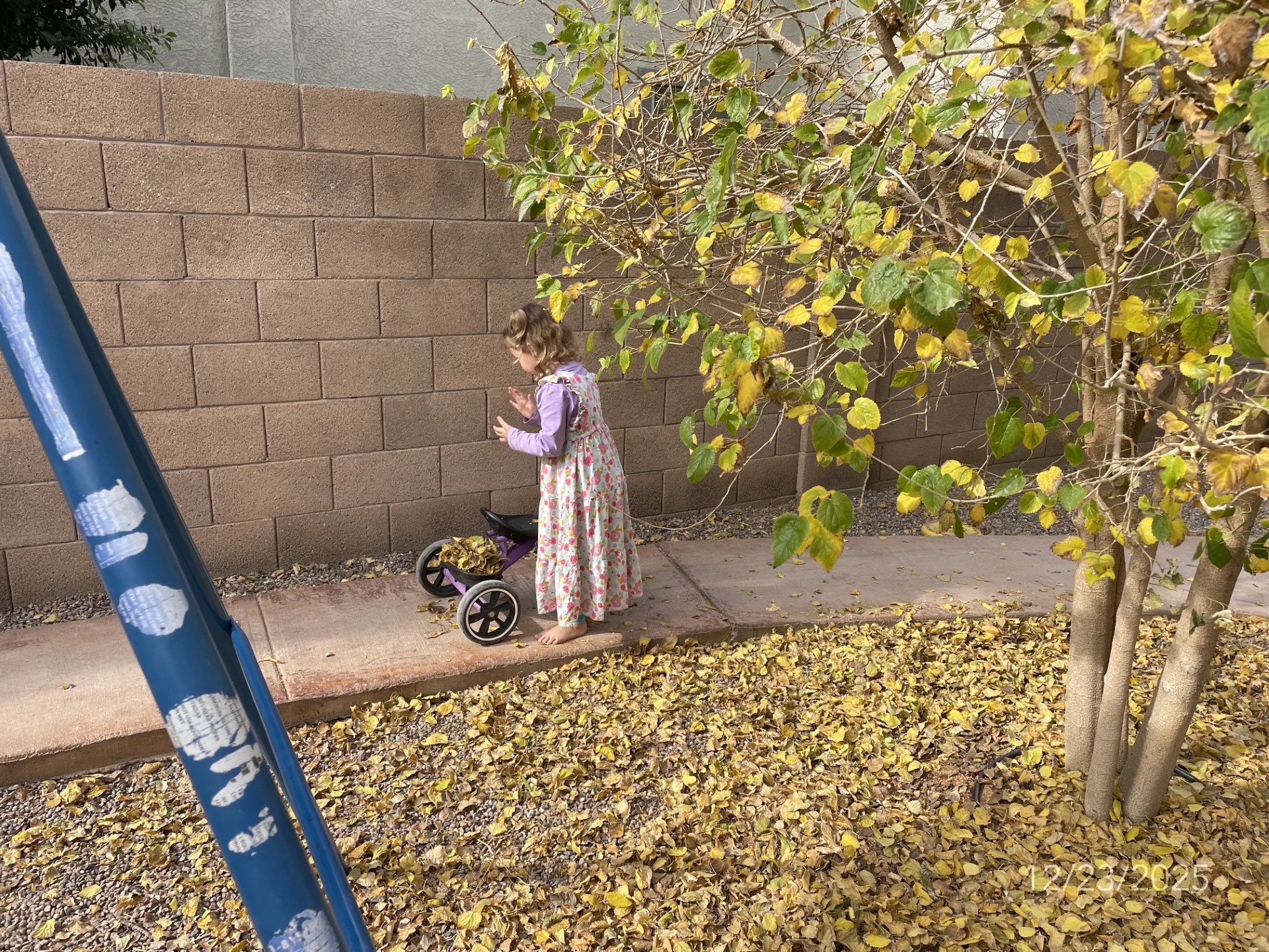 a little girl playing with fall leaves