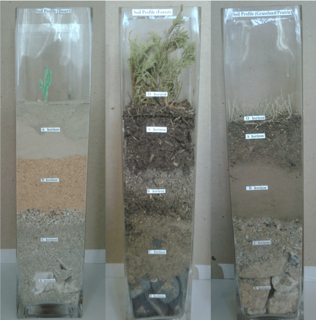 28/06/2020 · through the interactions of these four soil processes, the soil constituents are reorganized into visibly, chemically, and/or physically distinct layers, referred to as horizons. Create Your Own Soil Profile Activity Mynasadata