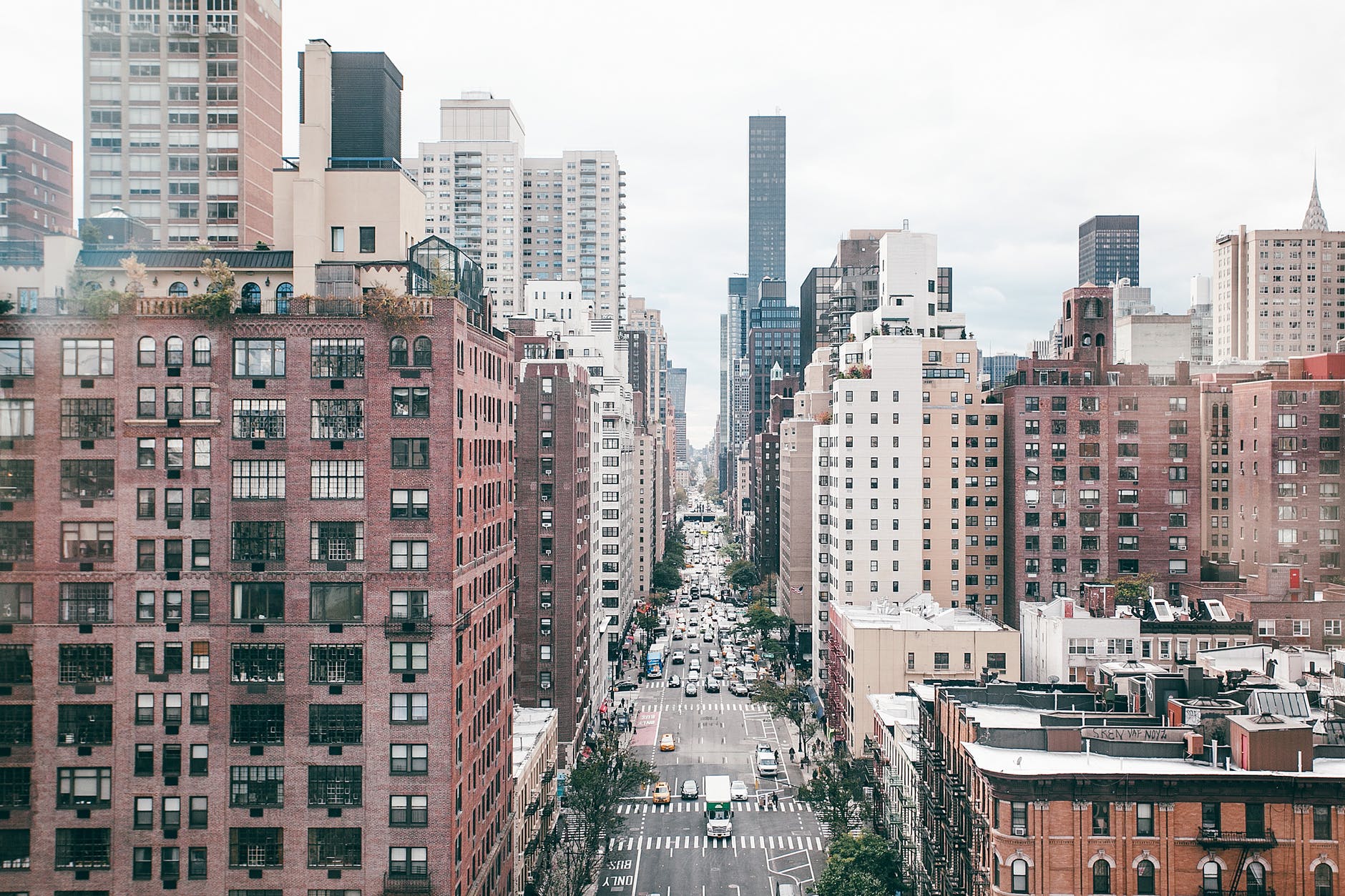 cityscape with residential houses near road