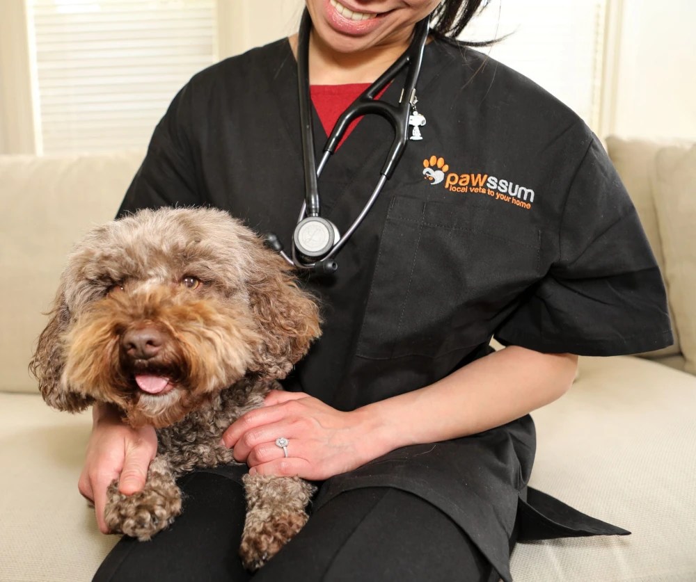 Pawssum Veterinary Services