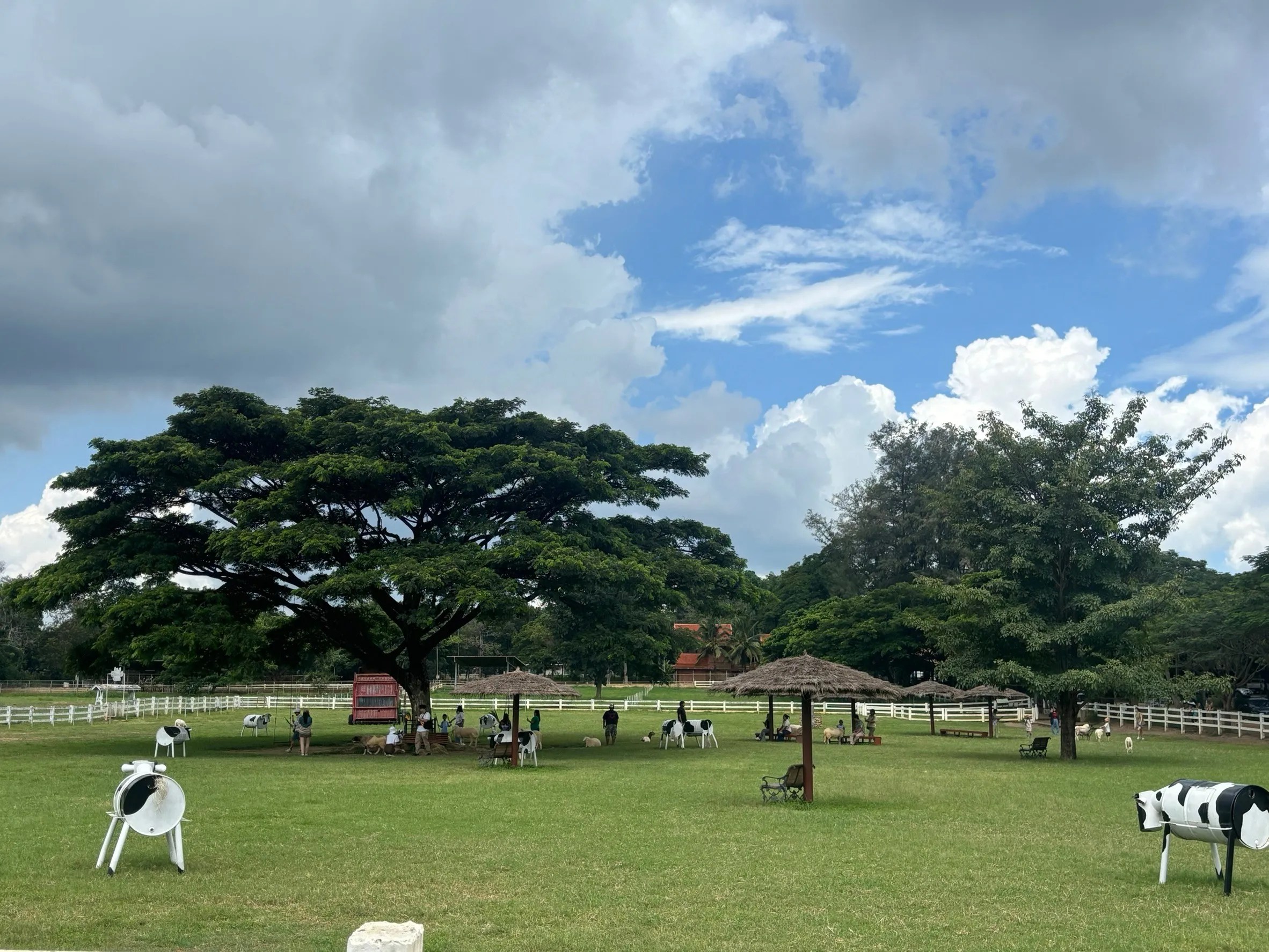 Farm Chokchai Khao Yai