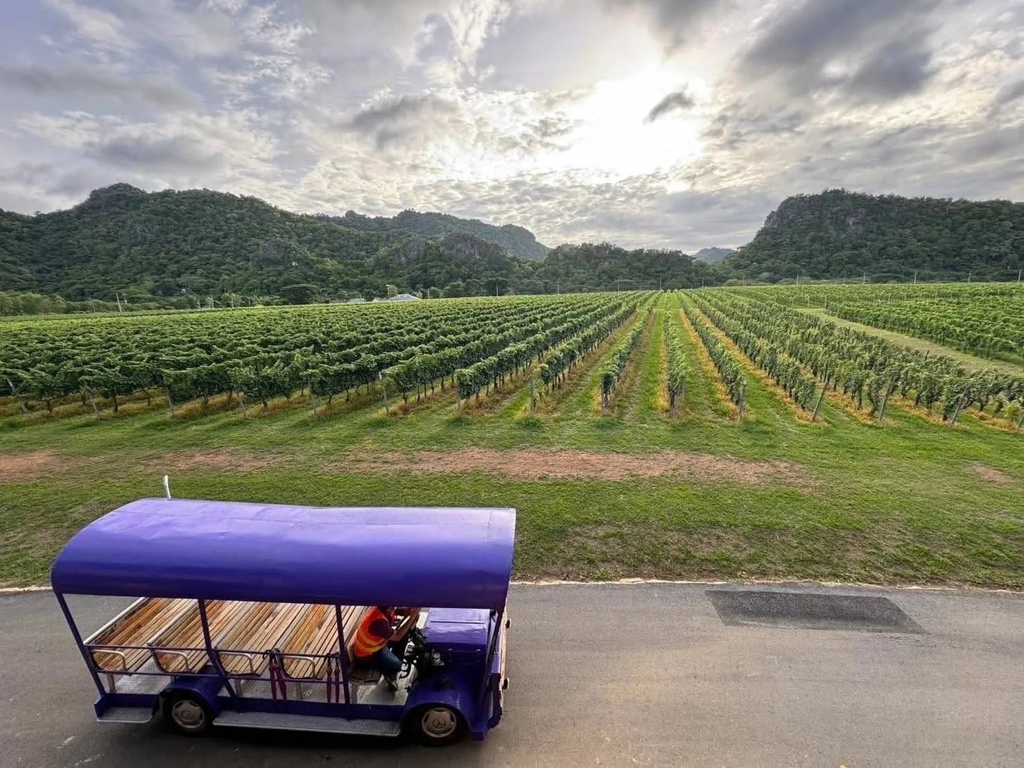 GranMonte Winery