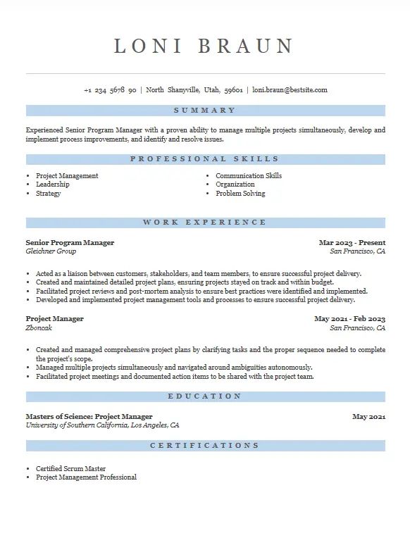 Program Manager Resume Example Template Vibes - Classic Light Illustration - Desktop