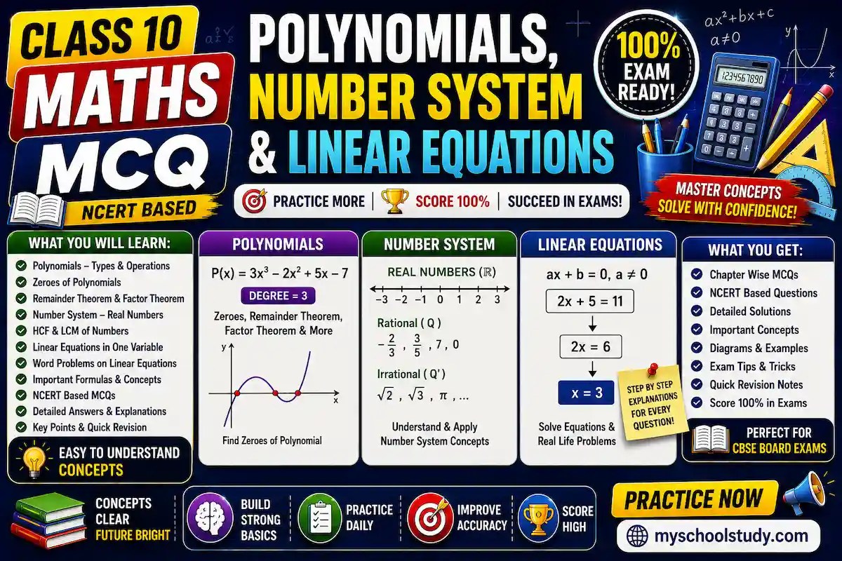 Polynomials, Number System & Linear Equations