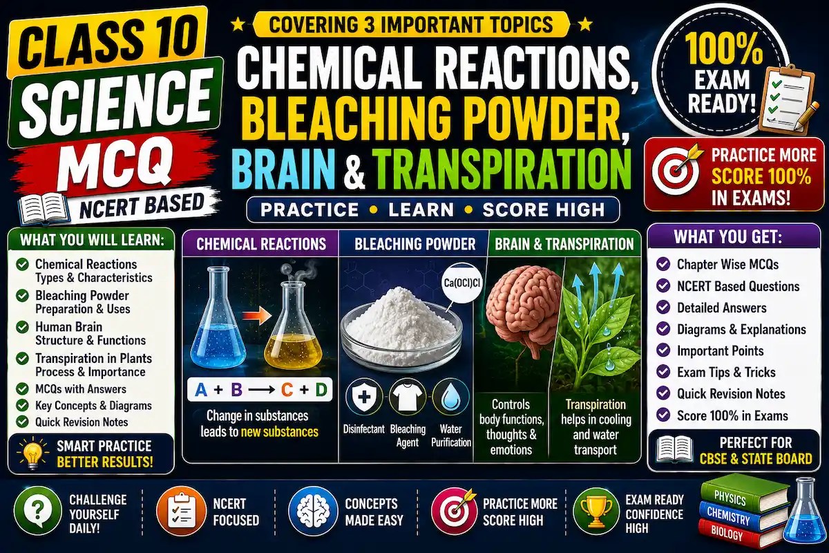 Class 10 Science MCQ on Chemical Reactions and Bleaching Powder