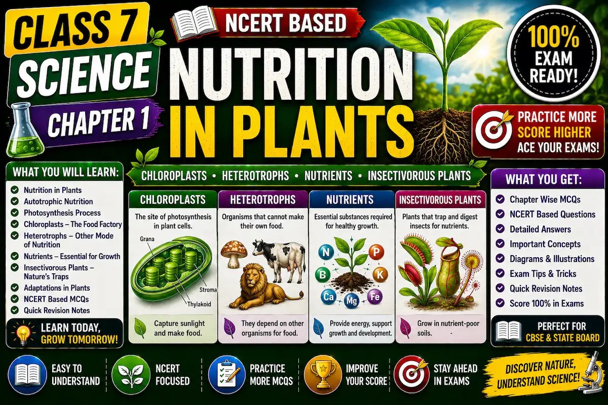 Class 7 Science Chapter 1 Nutrition in Plants myschoolstydu.com