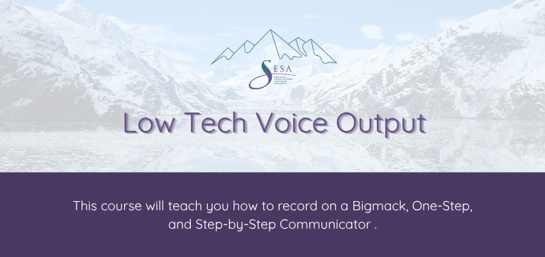 Low Tech Voice Output