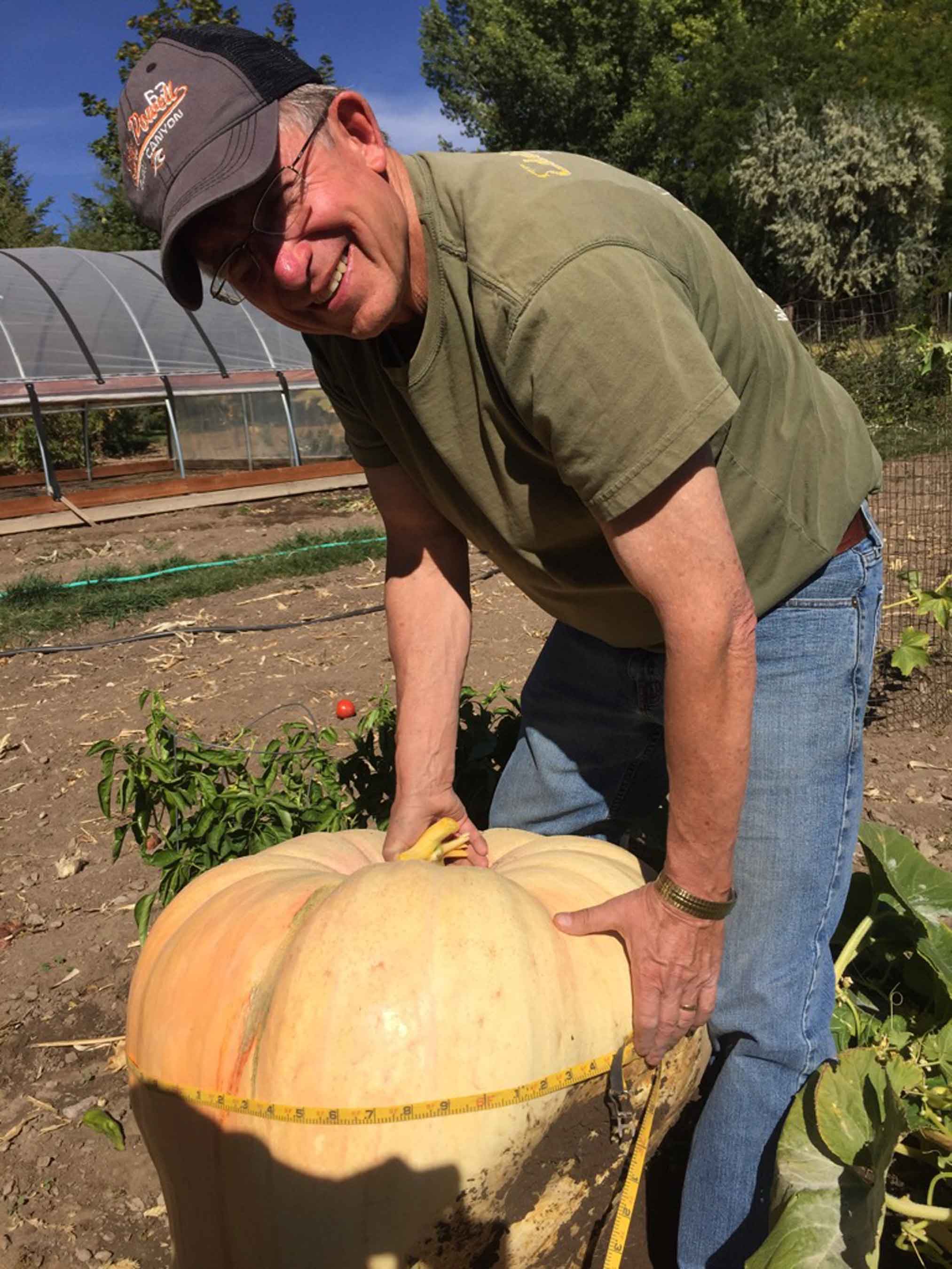 giant pumpkin