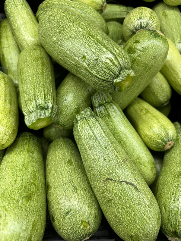 What to Plant in November: A Zone-by-Zone Guide for Vegetable Gardeners