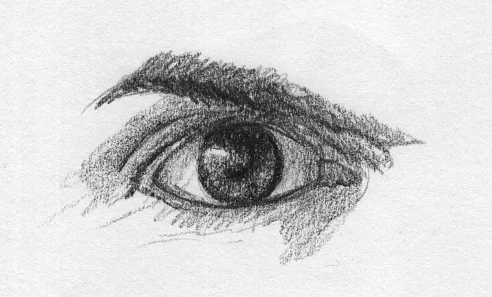 It's easy to not think about caring for our eyes until something goes wrong with them. How To Draw The Human Eye Everything You Need To Know My Sketch Journal