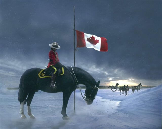 Stall rode ist die richtige adresse, wenn sie auf der suche nach einem passendem pferd sind. Fort Walsh and the Cypress Hills Massacre