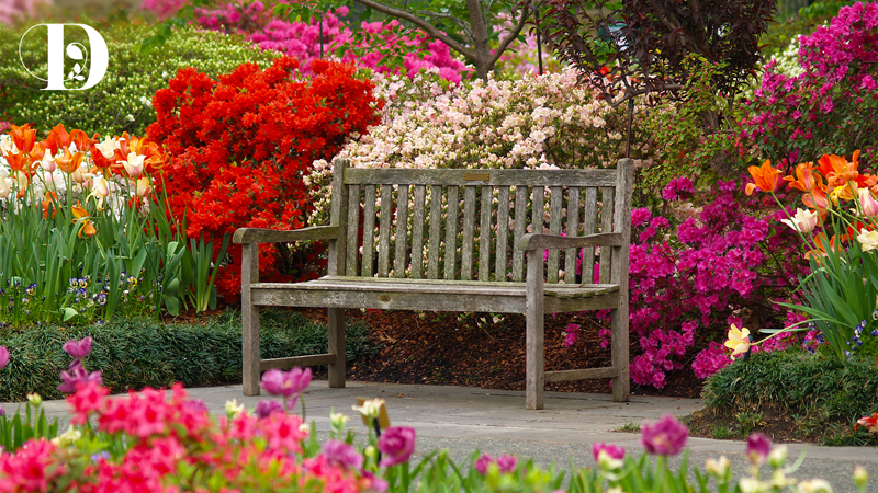 Scrambling to find a place to host your next zoom meeting for work can be stressful. Why Not Enjoy The Arboretum Virtually With Tours Zoom Backgrounds And Jigsaw Puzzles My Sweet Charity