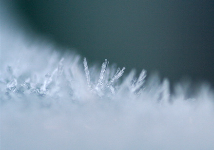 Last Frost - Premium Light Pattern Gallery - Retina