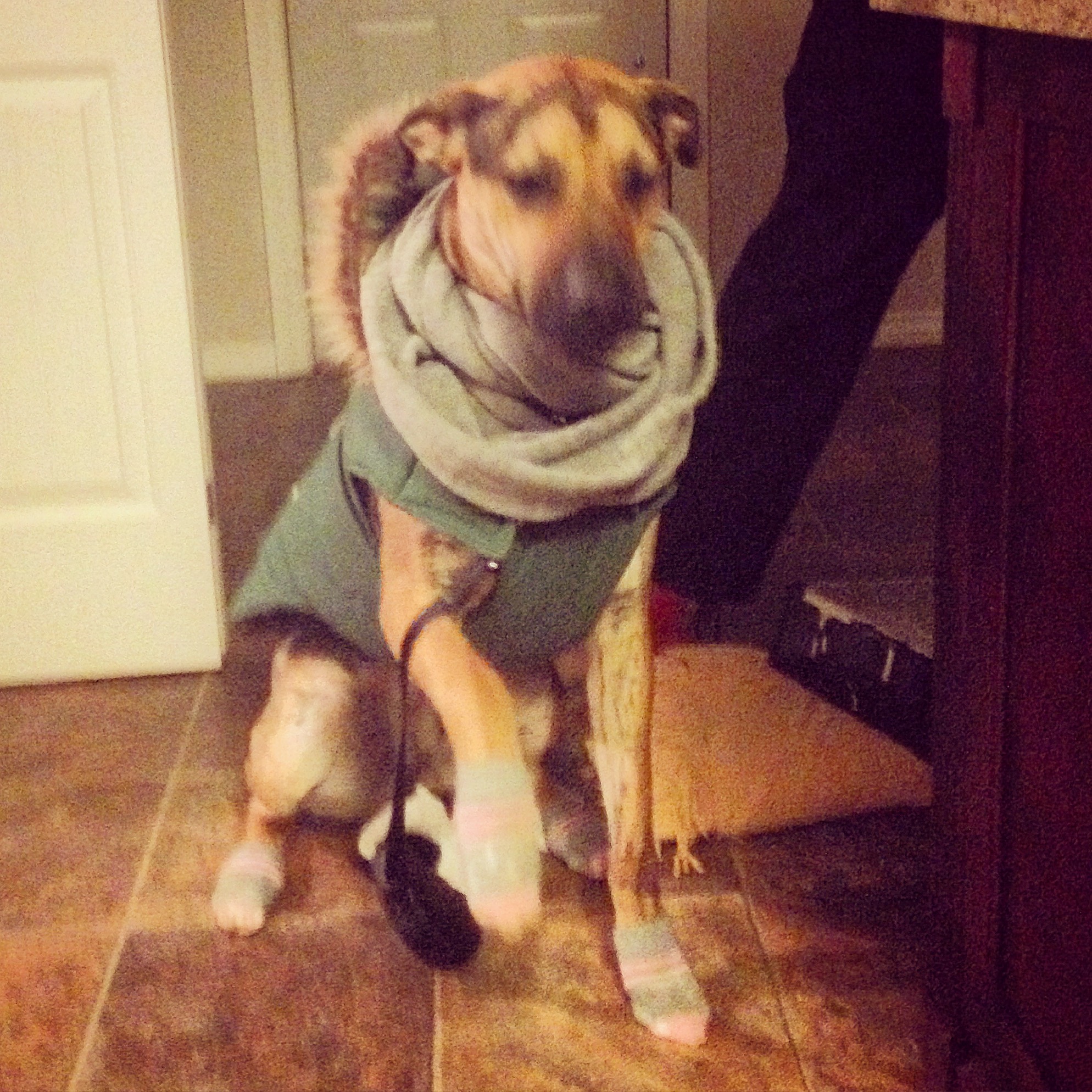 IMG_4770