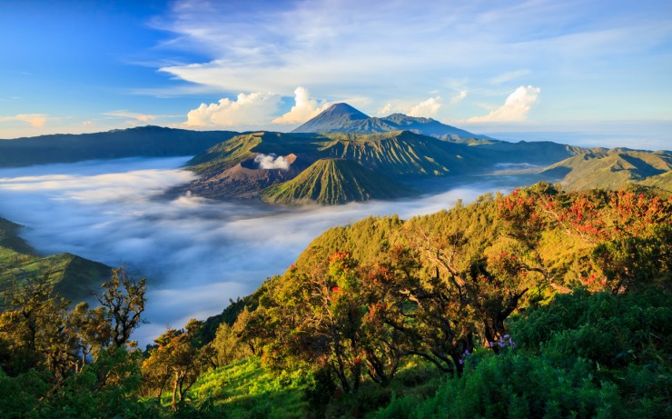 8 Day Trips from Surabaya