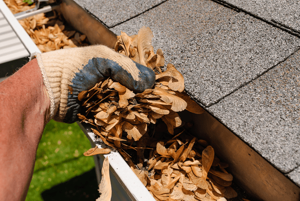 gutter-cleaning